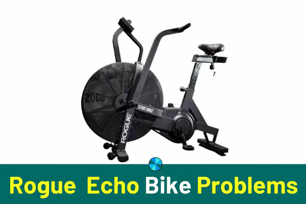 rogue echo bike problems